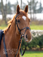 BP200326-10 - It's Hard To Know